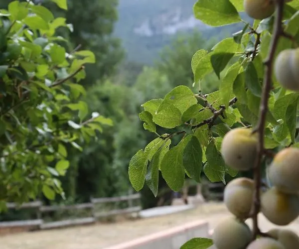 ヴィラ Private Riverside With Breathtaking Views